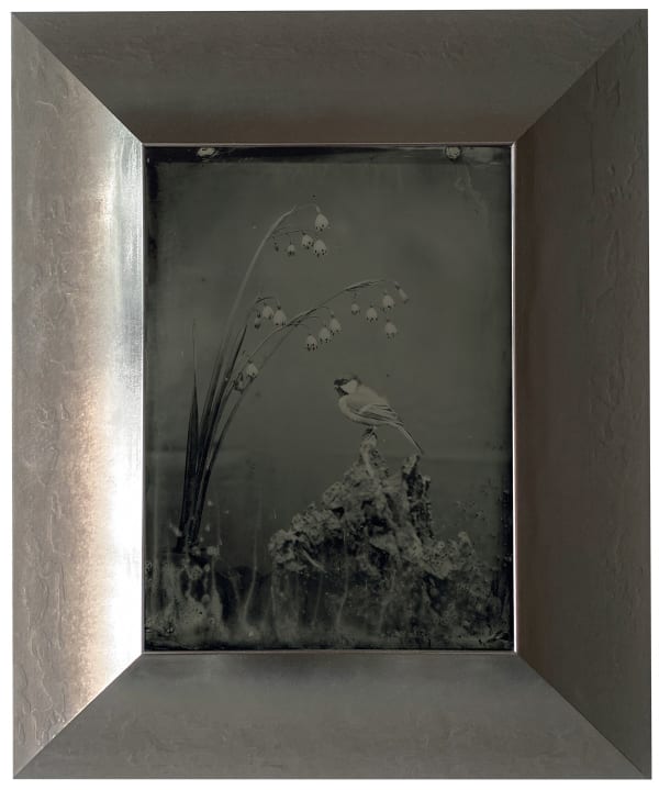 Yamamoto Masao, Ambrotype #68, 2022