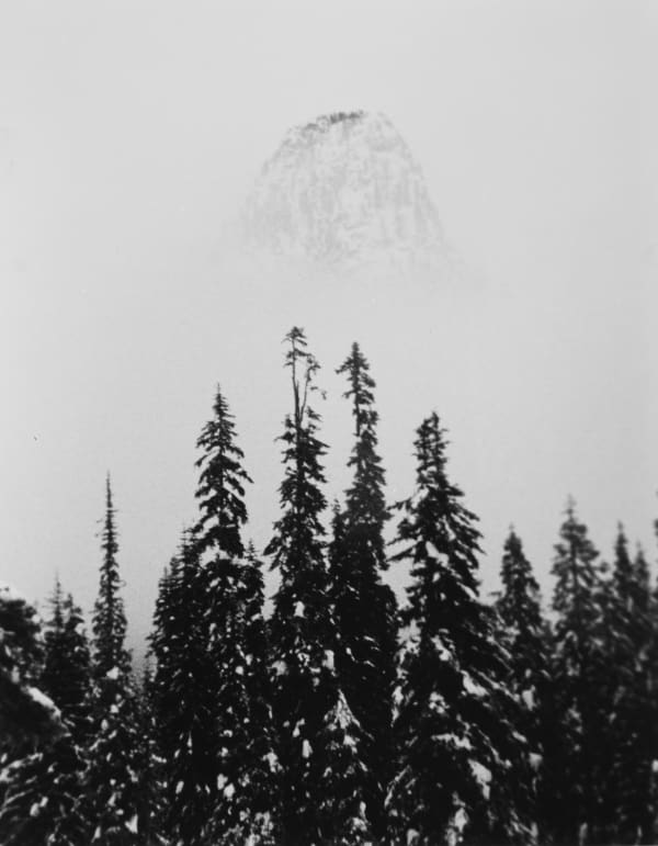 Tommy Nease, Guye, 2016