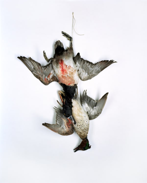 Angela West, My Aim is True, 2009