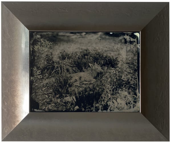 Yamamoto Masao, Ambrotype #26, 2022