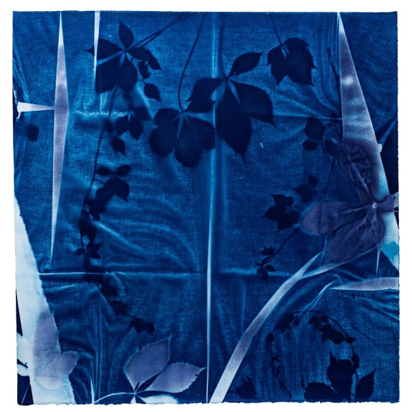 V. Elizabeth Turk, Vendla: Studies for Dress Design N°1, Virginia Creeper, 2024