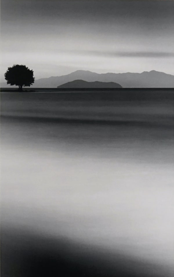 Michael Kenna Biwa Lake Tree, Omi, Honshu, Japan, 2001 SOLD