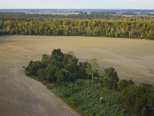 Andrew Moore, Tunica, MS, 2014