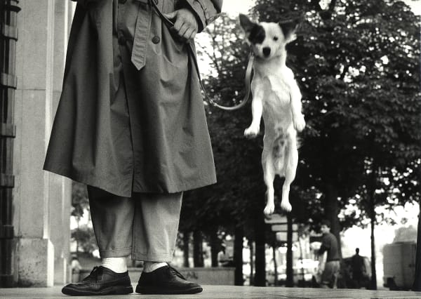 Elliott Erwitt Paris, France (Dog Jumping), 1989