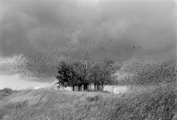 Mark Steinmetz, Near Jefferson City, Tennessee, 1991
