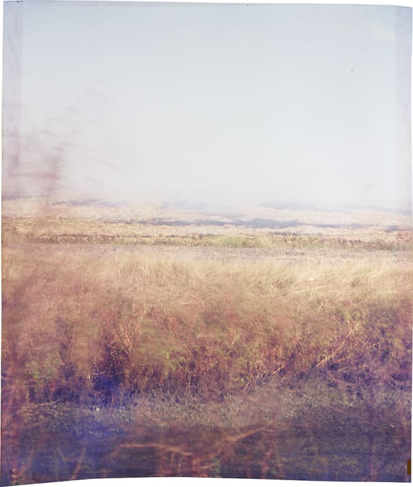 John Chiara, Old Highway 61 at Hollywood Bowl V2, 2017