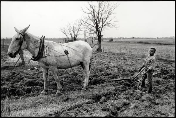Bruce Davidson, Untitled, Time of Change (Young Boy Plowing), 1965