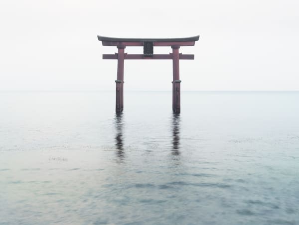 Josef Hoflehner, Biwako Toril, Japan, 2013