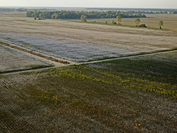 Andrew Moore, Tunica, MS, 2014