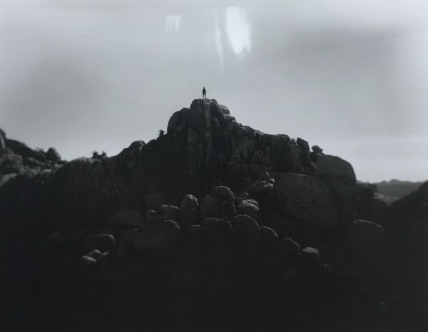 Tommy Nease, Joshua Tree, 2018