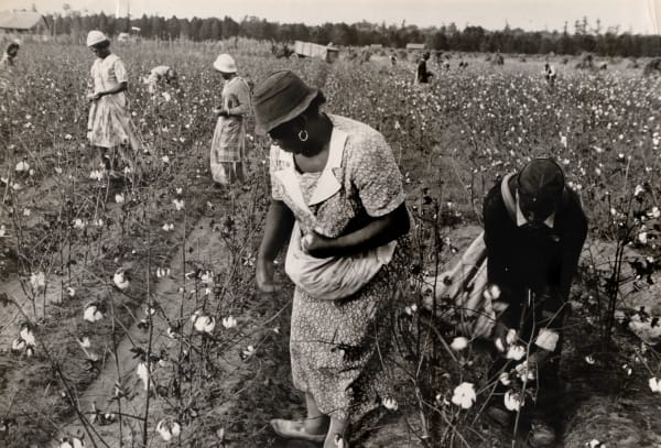 Ben Shahn, Cotton Pickers, Pulaski County, Arkansas, 1935