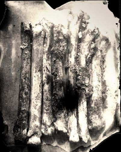 Sally Mann, Eva (#16 Pile of Bones), 2000