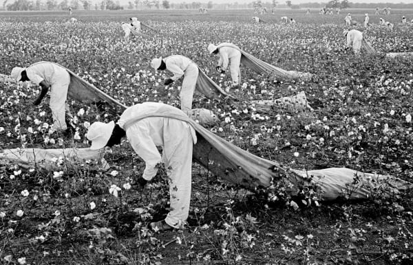 Danny Lyon, Cotton pickers, Ferguson, Texas, 1968
