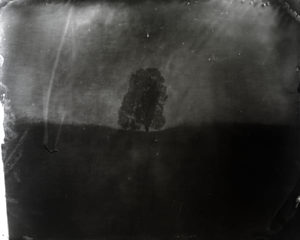 Sally Mann, Untitled (Manassas #1), 2000