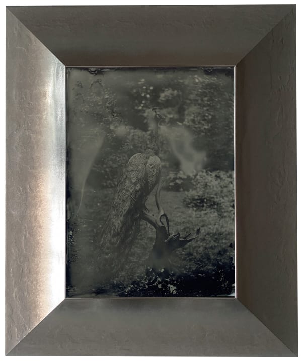 Yamamoto Masao, Ambrotype #58, 2022