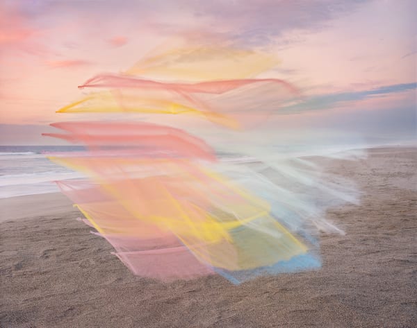 Thomas Jackson Tulle no. 23, Point Reyes National Seashore, California, 2020