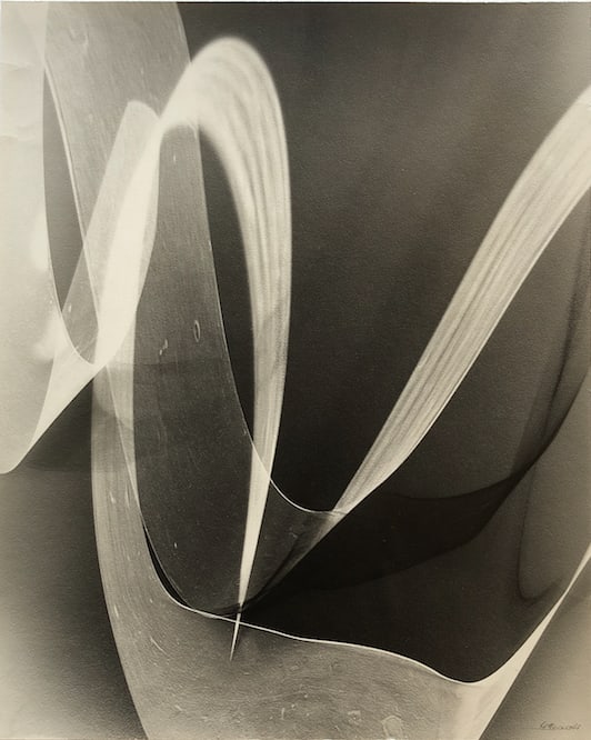 Lotte Jacobi, Photogenic, c. 1950