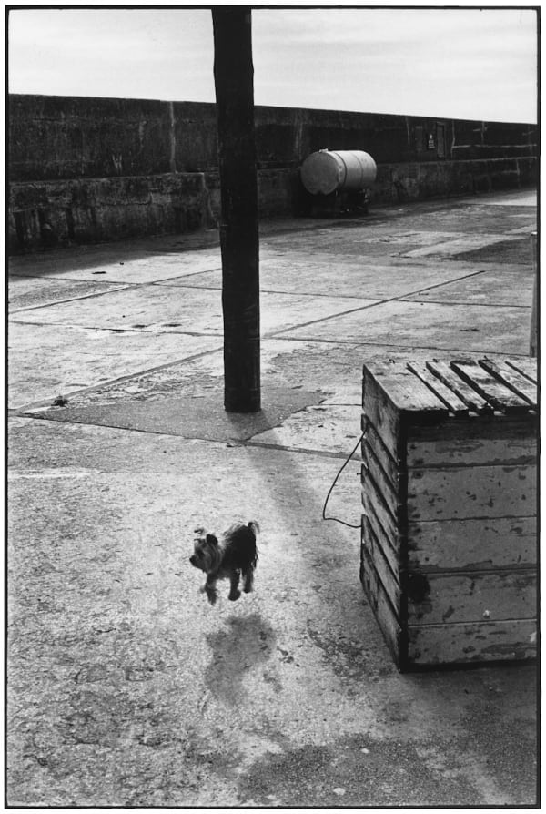Elliott Erwitt Ballycotton, Ireland 1968