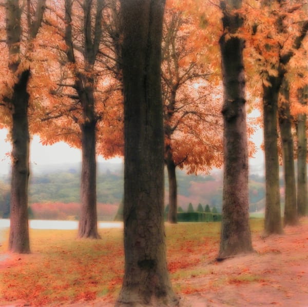 Lynn Geesaman, Parc de Sceaux, France (10-08-33c-7), 2008