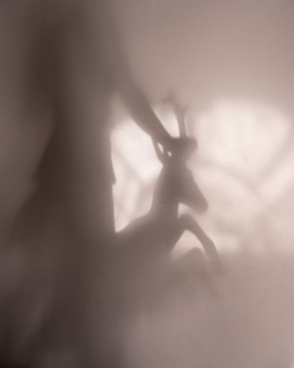 Cig Harvey, Artemis, Reflecting on the Wall, 2018