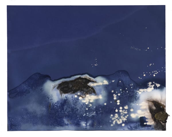 Meghann Riepenhoff, Littoral Drift #202 (Redwood Creek, Humboldt, CA 09.09.16, Dipped in Toxic Blue-Green Algae Bloom) , 2016