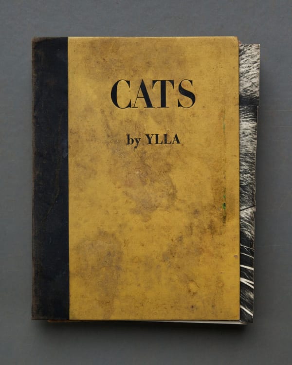 Mary Ellen Bartley, Cats, from the series Reading Grey Gardens, 2017