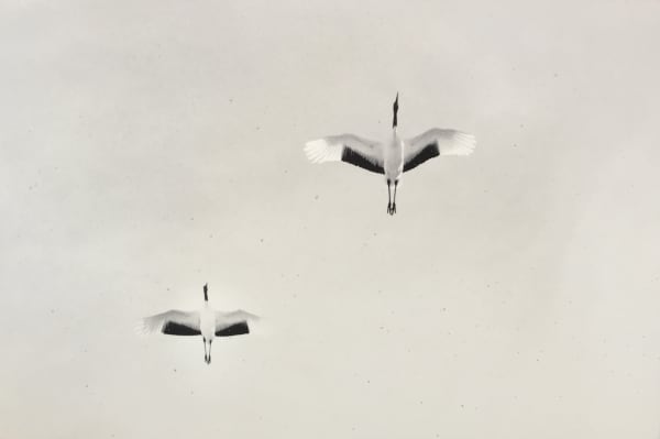 Yamamoto Masao, Nakazora #1172, 2004