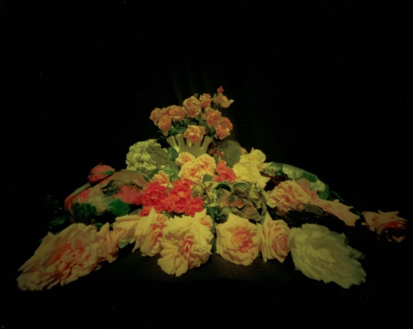 Willie Anne Wright, Roses and Hats #2, 1982