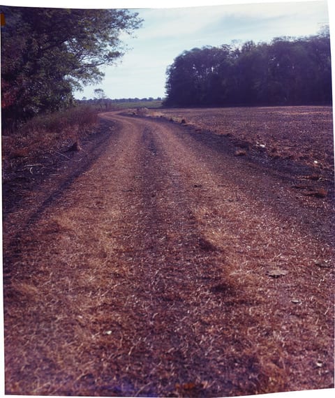 John Chiara, Saint Paul at Austin, 2017
