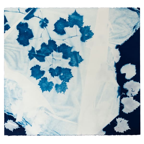 V. Elizabeth Turk, Vendla: Studies for Dress Design N°12, Muscadine, 2024