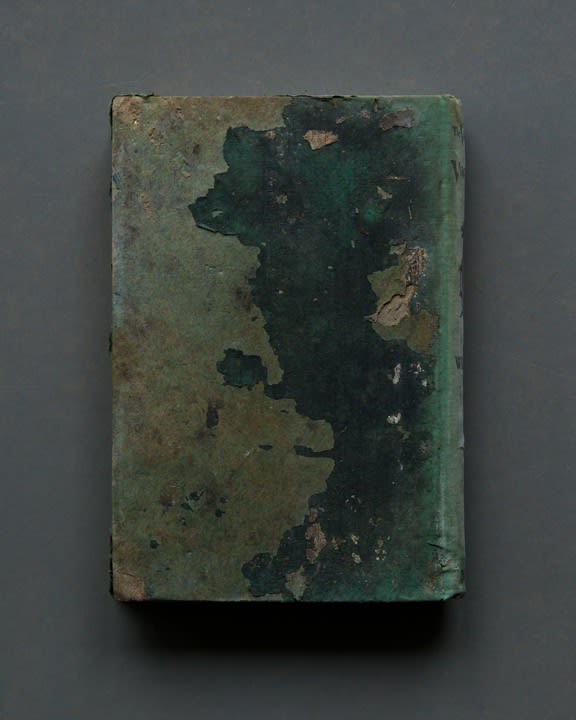 Mary Ellen Bartley, The Vanishing Virginian, from the series Reading Grey Gardens, 2017