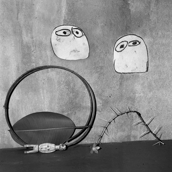 Roger Ballen, Ambivalence, 2003