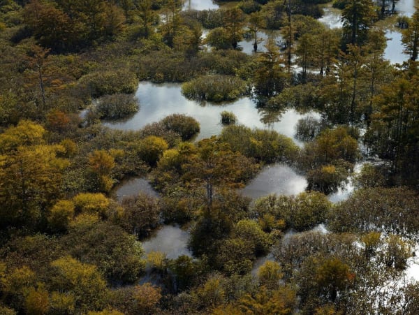Andrew Moore, Beaver Dam Lake 2, Tunica, MS, 2014