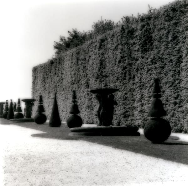 Lynn Geesaman, Versailles, France, (4-07-14-1), 2007