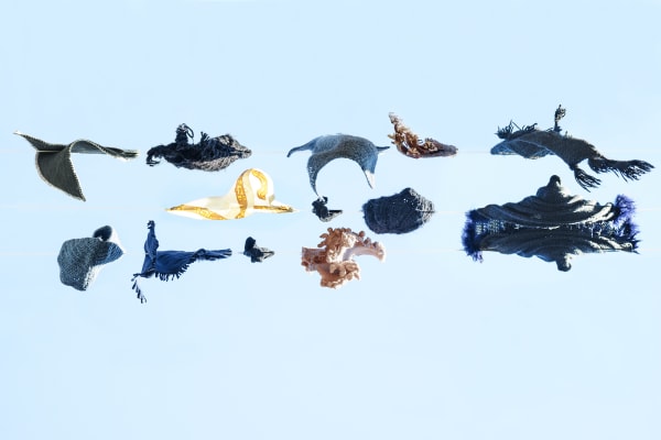 Sally Gall, Oceania, 2015