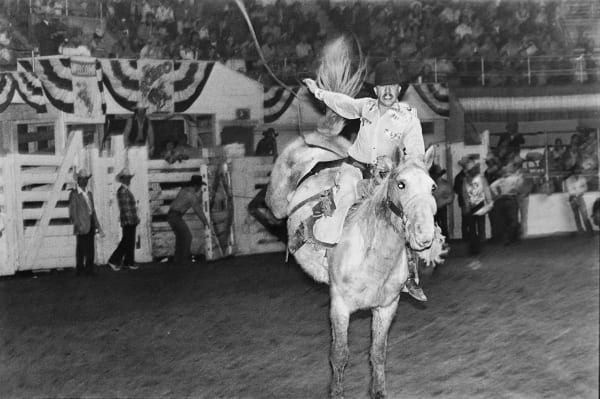 Garry Winogrand Horse, Front Seat cut off at Bottom Edge of Frame, 1974