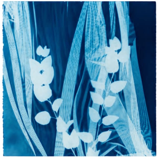 V. Elizabeth Turk, Vendla: Studies for Dress Design N°11, Vinca, 2024