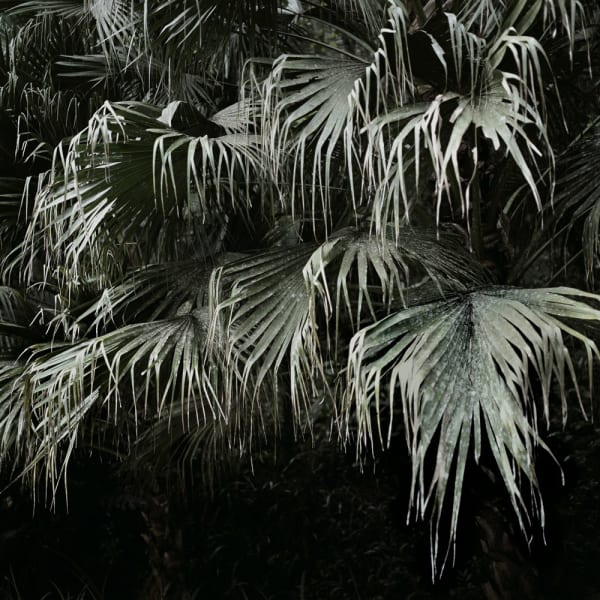 Mona Kuhn, Winter, 2009