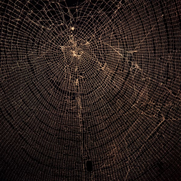 Mona Kuhn, Nephilia, 2012-2013