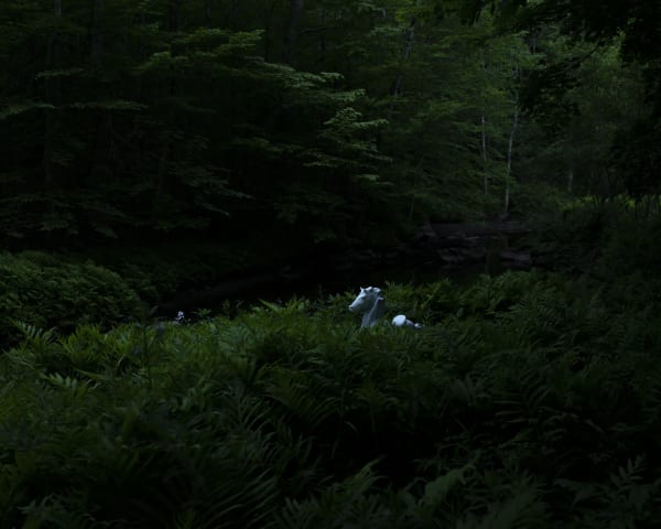 Cig Harvey White Horse, 2020