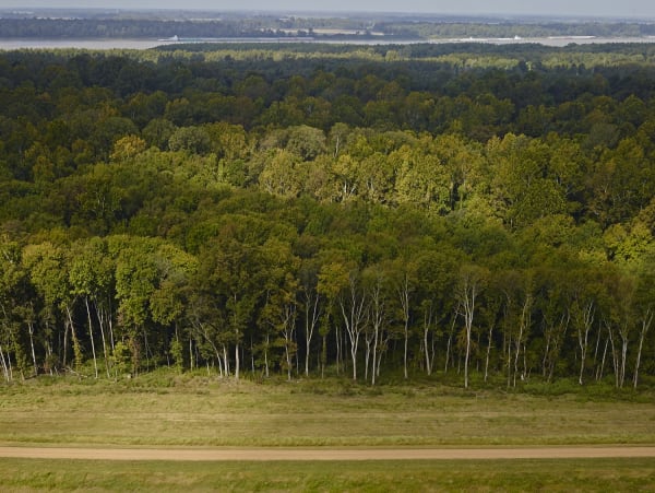 Andrew Moore, Tunica, MS, 2014