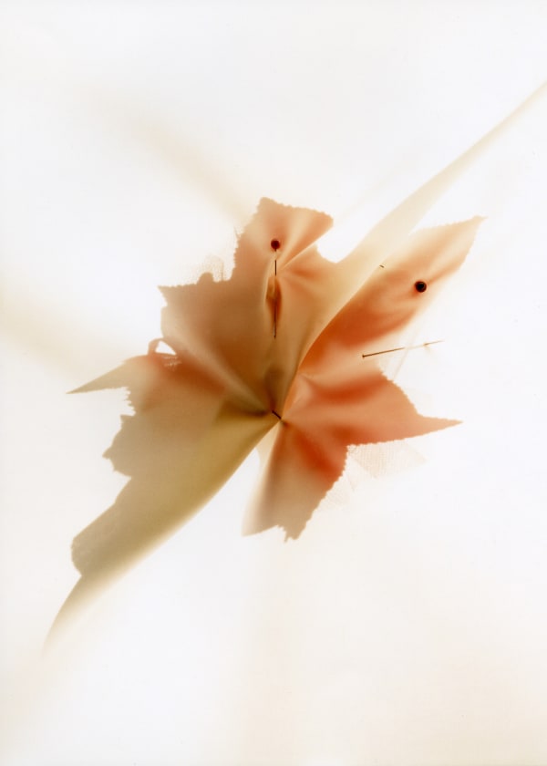 Angela West, Senior Prom (June 1989), 2005