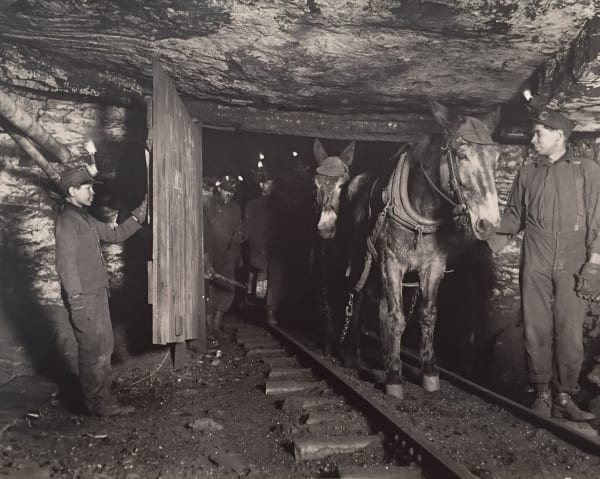 Lewis Hine Trapper Boys, 1930