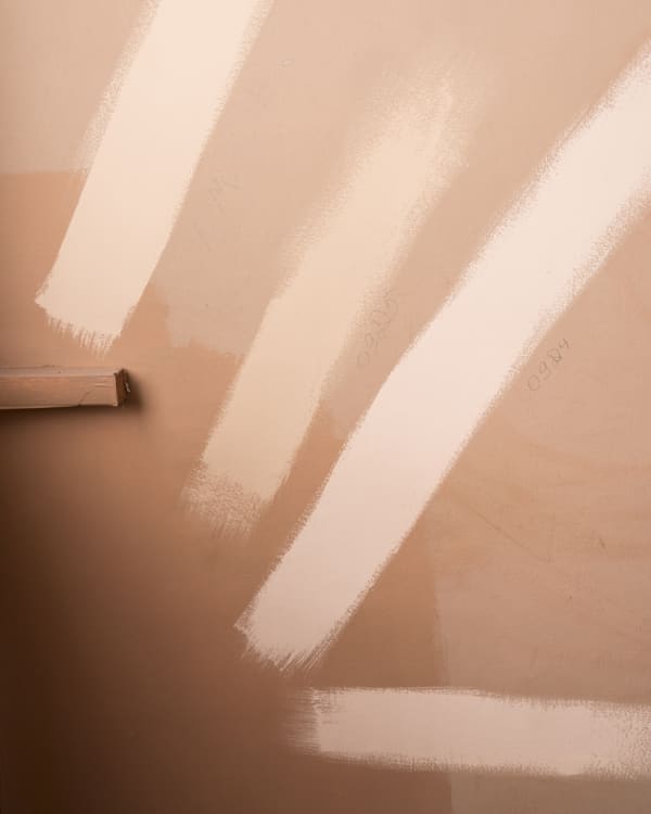 Cig Harvey, All the Pinks, 2018