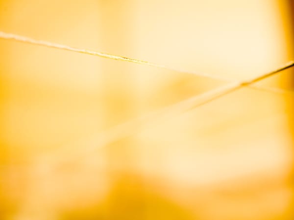 Mona Kuhn, AD 11250, 2013