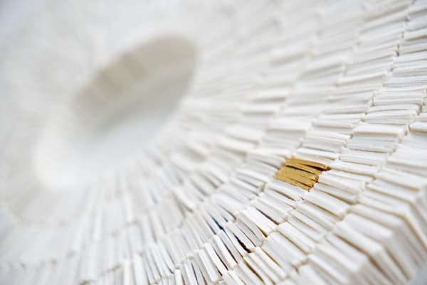 Lucas Ferreira, One For All 2