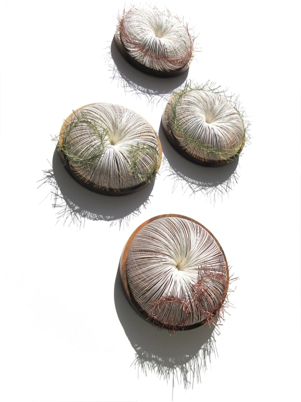 Kazuhito Takadoi, Setsuga l - lV (Snow Bud)