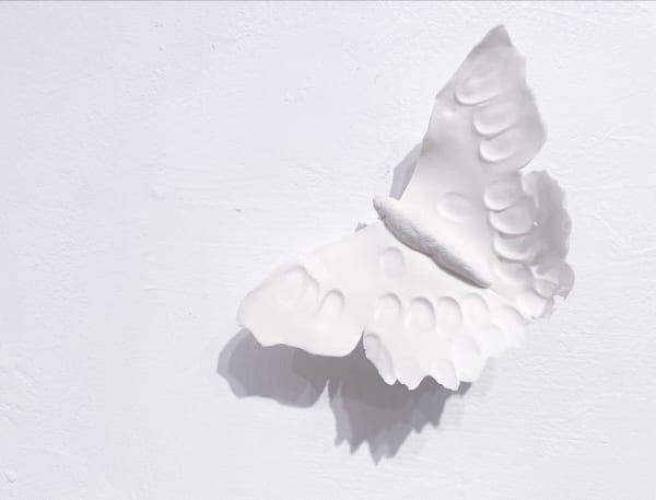 Naoko Tagai, Butterflies