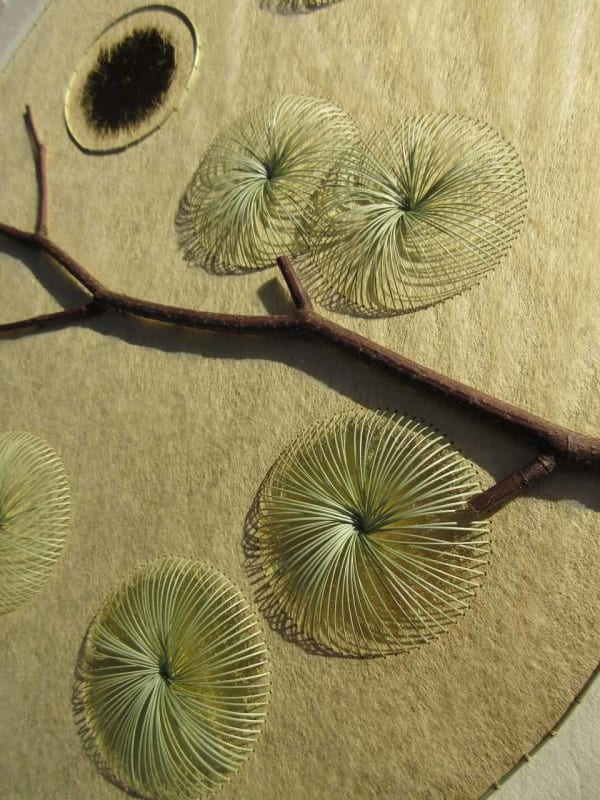 Kazuhito Takadoi, Fuyugiri (Winter Mist)