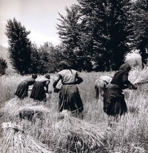 Frank Monaco, Women of Molise
